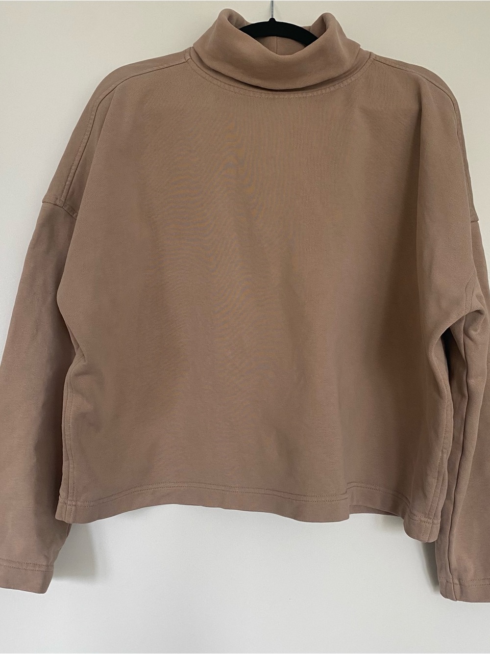 Everlane Sweatshirt